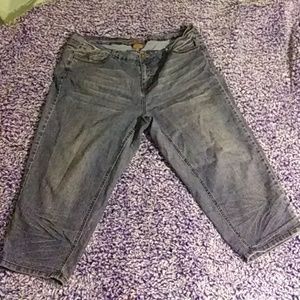 Womans Capri Jeans